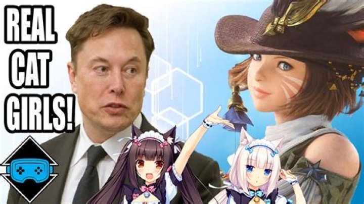 Is Elon Musk really making catgirls?