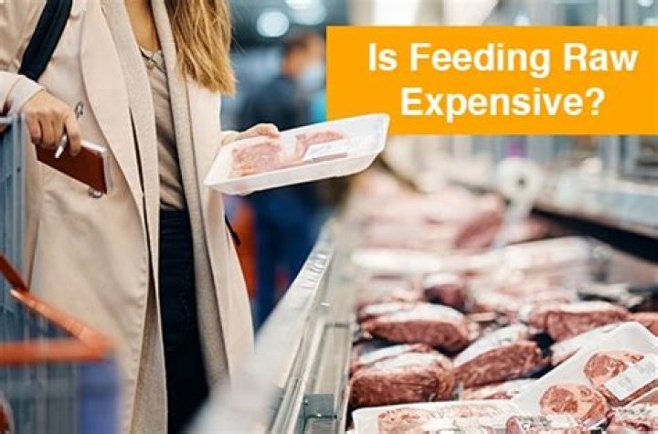 Is feeding raw expensive?