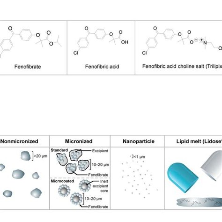 Is fenofibric acid the same as fenofibrate?