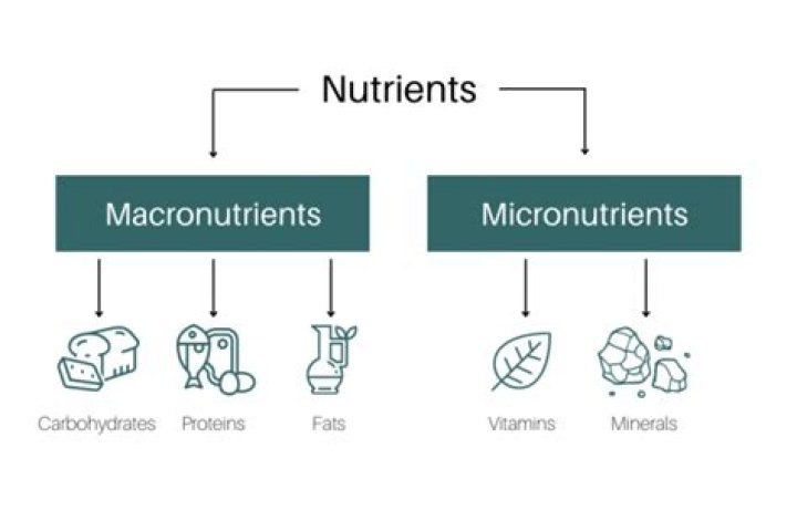 Is fluoride a micro or macro nutrient?
