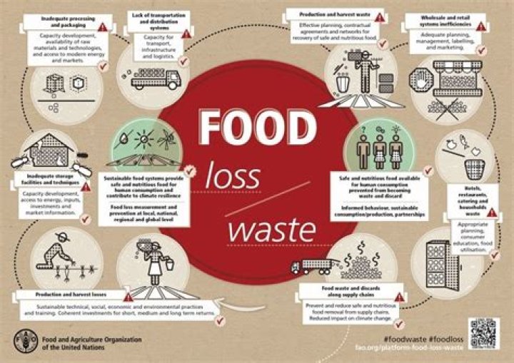 Is food waste a social problem?