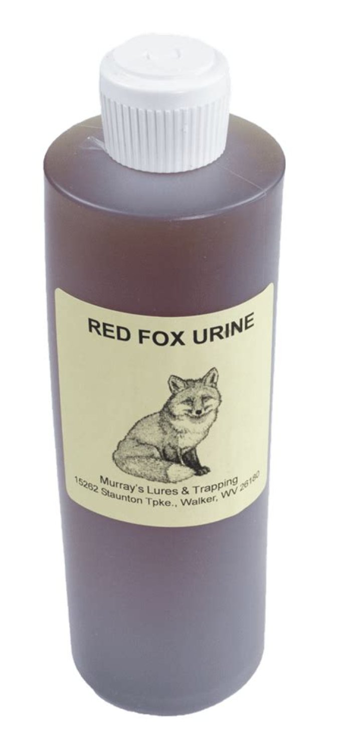 Is fox urine a good cover scent?