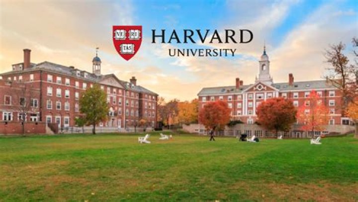 Is Harvard good for CS?