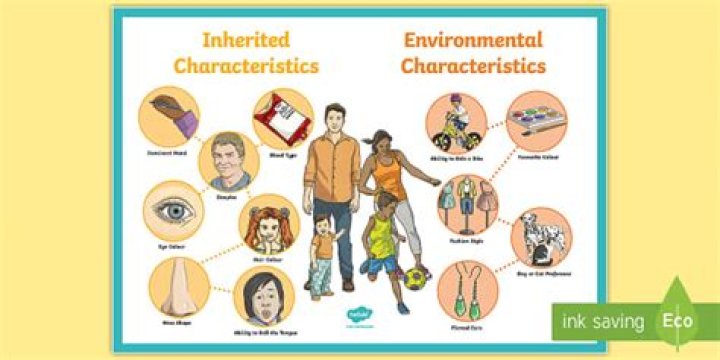 Is intelligence inherited or environmental?