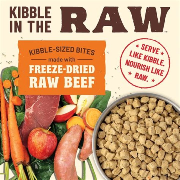 Is it bad to mix raw dog food with kibble?