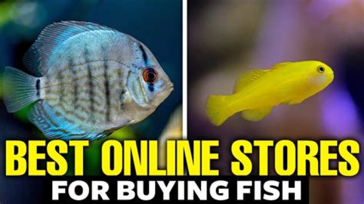 Is it cheaper to buy whole fish?