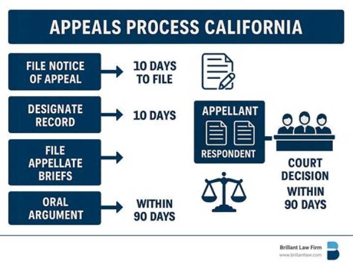 Is it court of appeal or court of appeals?