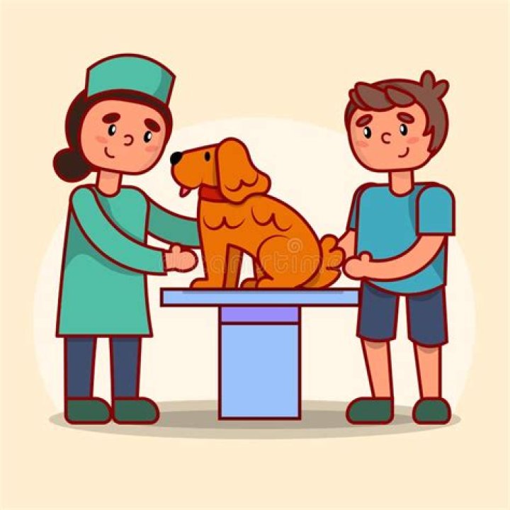 Is it difficult to take care of a dog?
