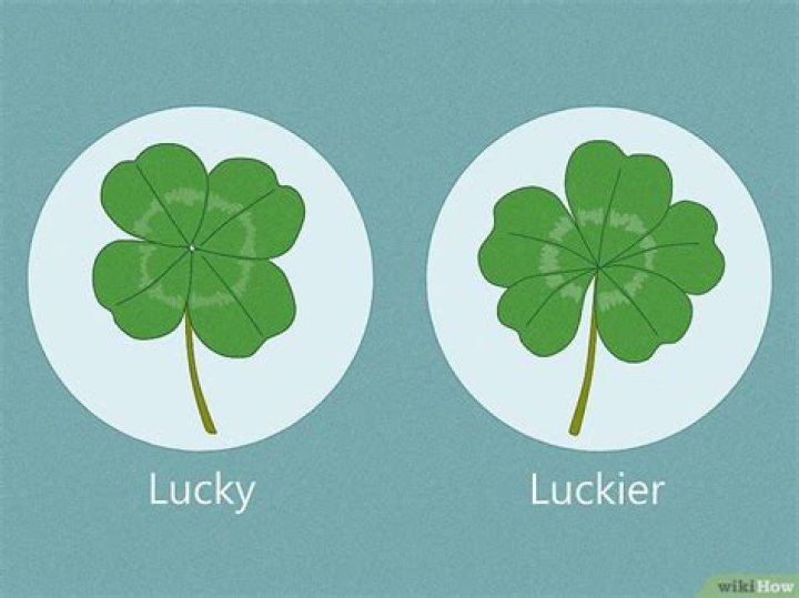 Is it lucky to find a 5 leaf clover?