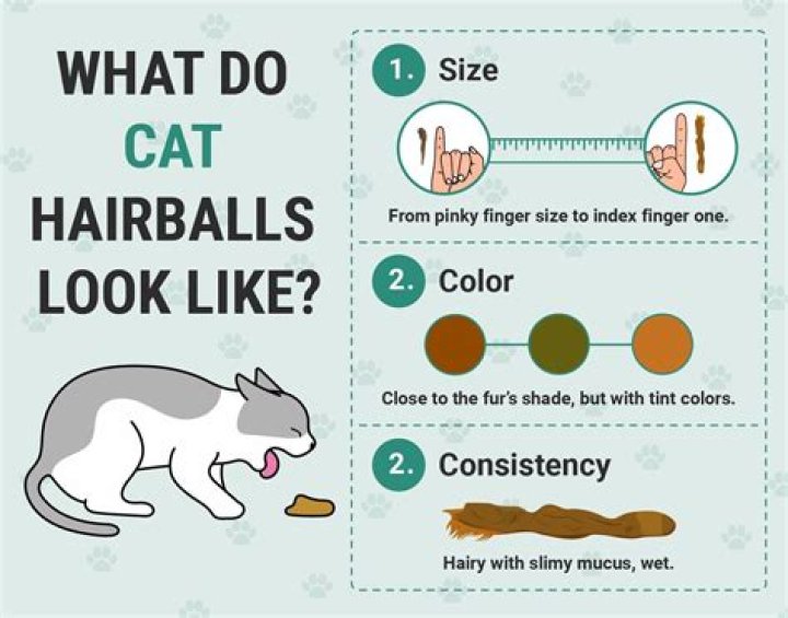 Is it normal for cats to have hairballs?