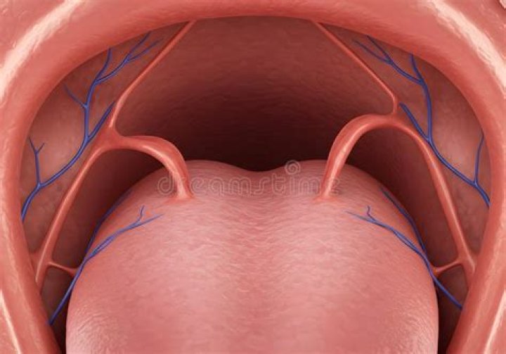 Is it normal to see blood vessels in throat?