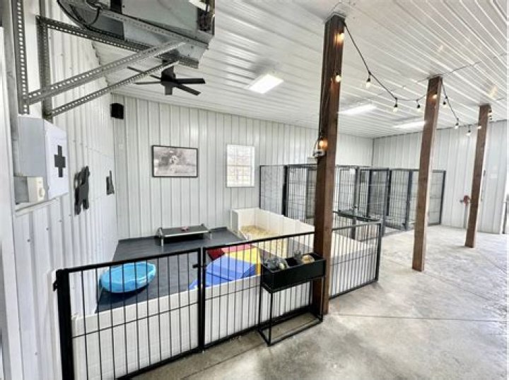 Is it OK for a dog to live in a kennel?