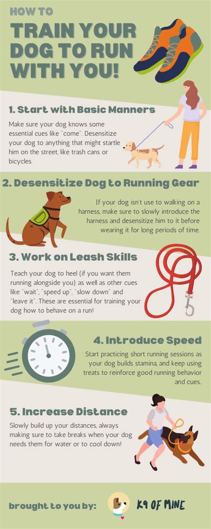 Is it OK for my dog to run with me?