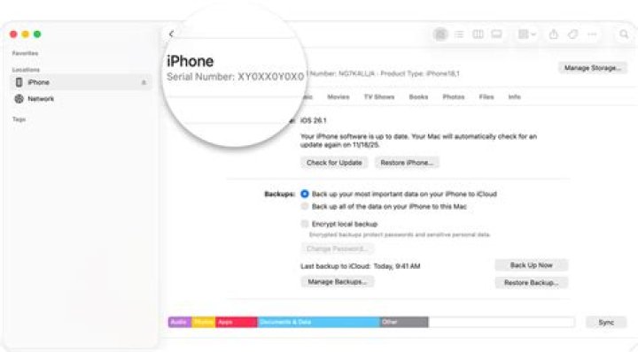 Is it OK to give iPhone serial number?