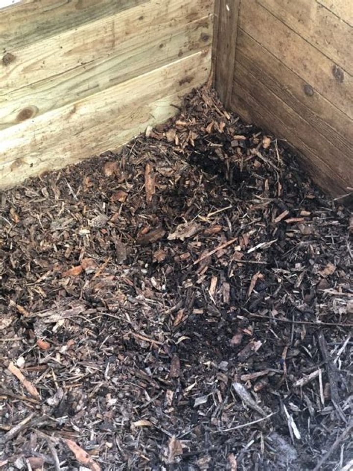 Is it OK to use old compost?