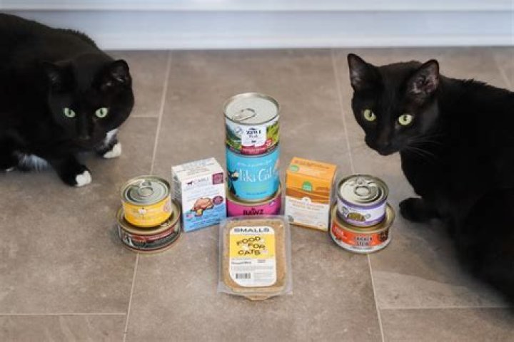 Is it okay to put wet cat food in the fridge?