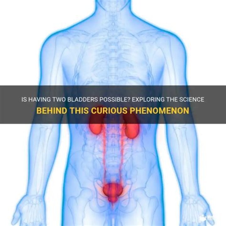 Is it possible to have two bladders?