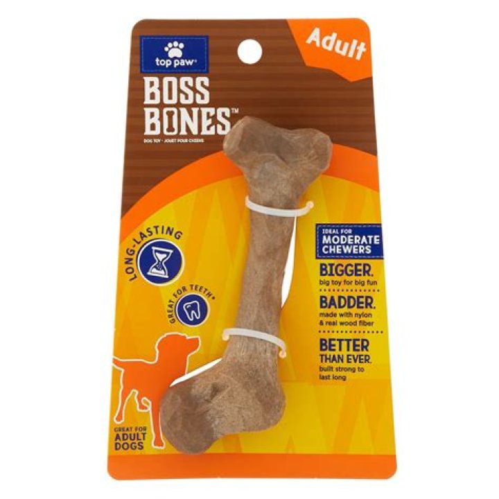 Is it safe for puppies to eat bones?