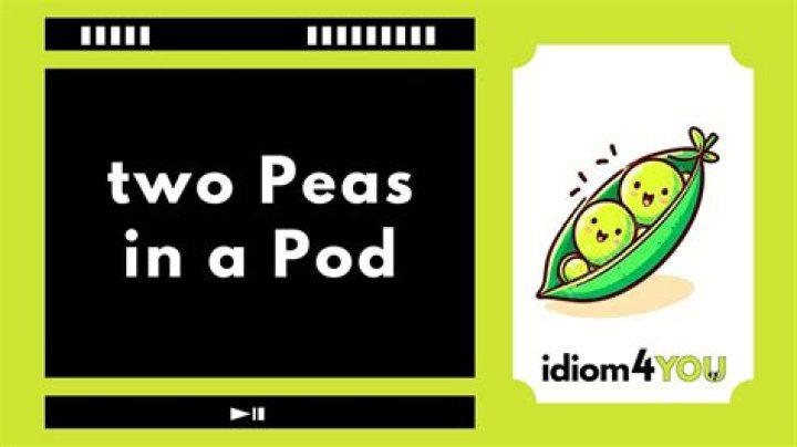 Is it two or three peas in a pod?