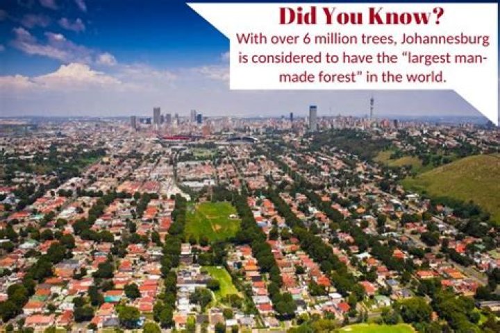 Is Johannesburg a man made forest?