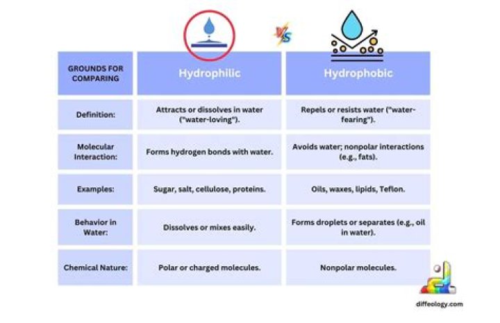 Is K+ hydrophobic or hydrophilic?