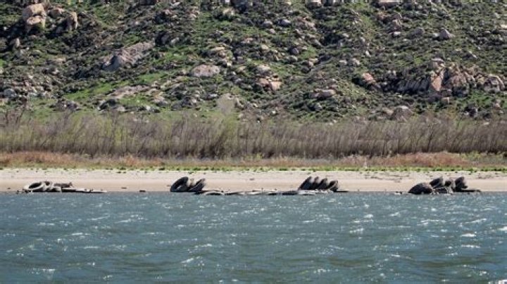 Is Lake Perris water dirty?