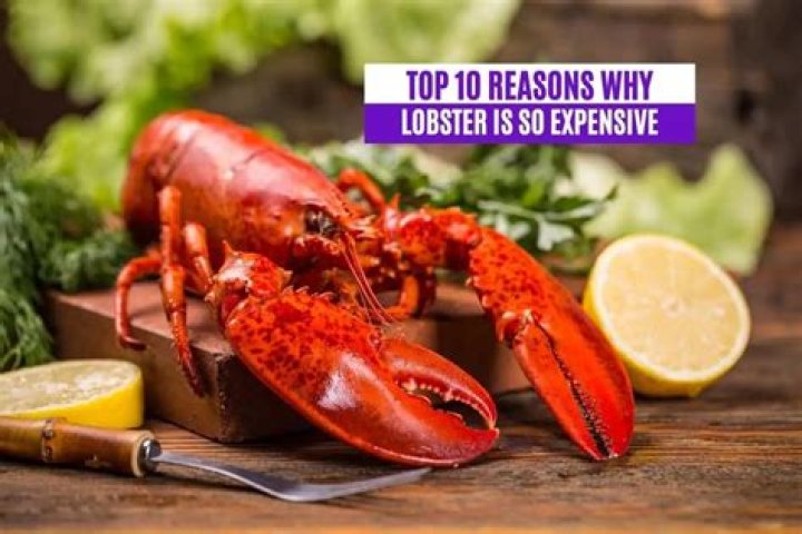 Is lobster expensive in Canada?