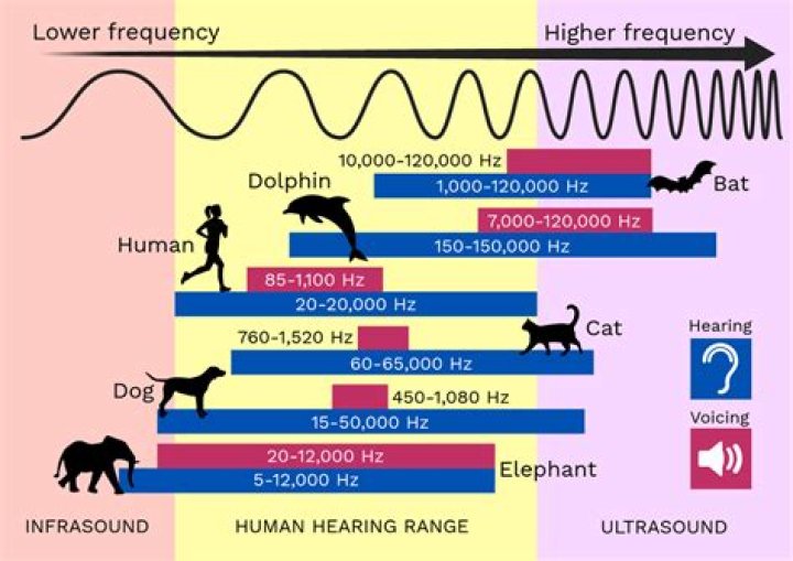 Is low frequency sound harmful?