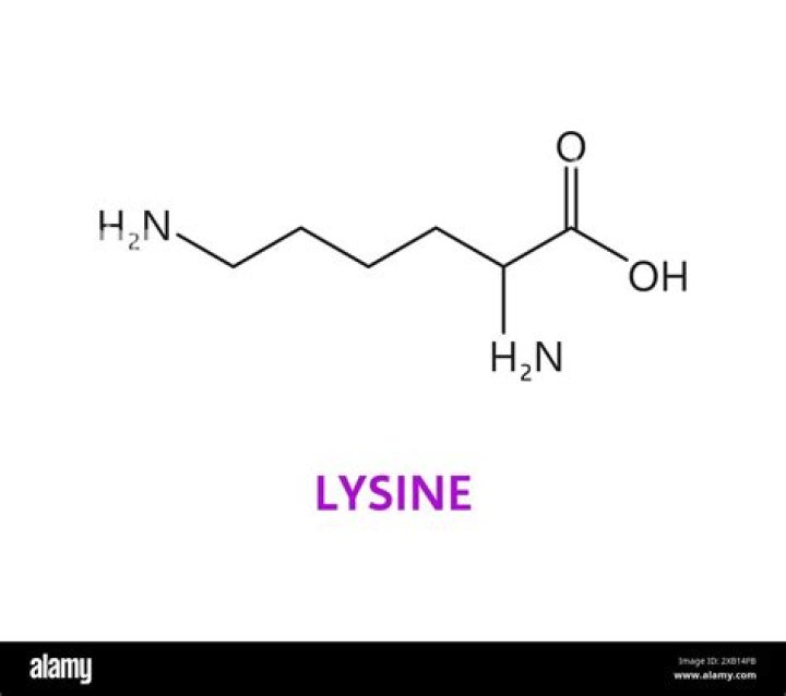 Is lysine an imino acid?