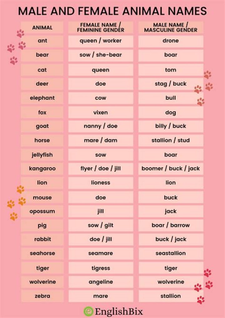 Is Mai a male or female name?