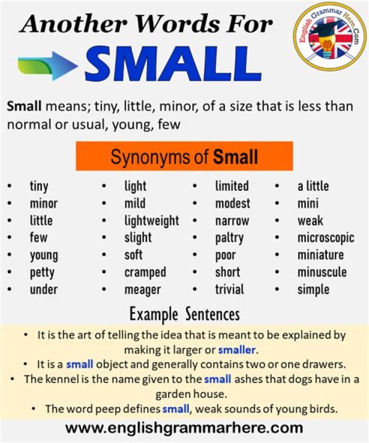 Is minute another word for small?