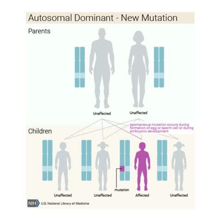 Is multiple epiphyseal dysplasia a genetic disorder?