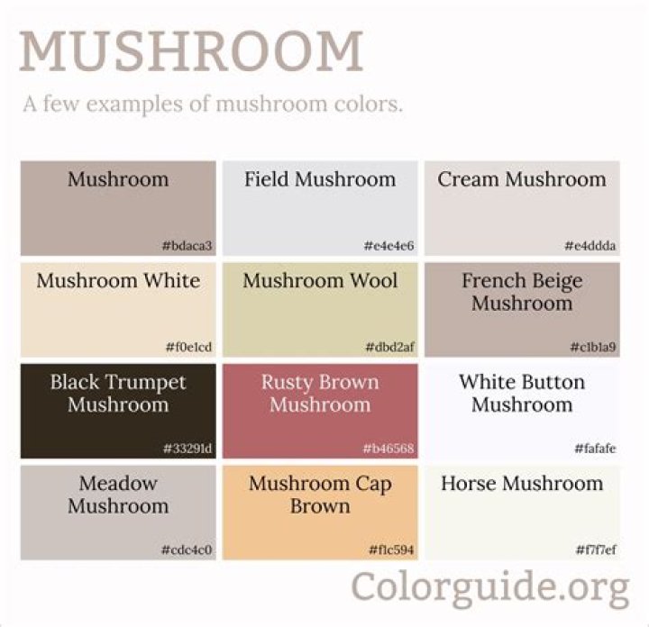 Is mushroom brown cool or warm?