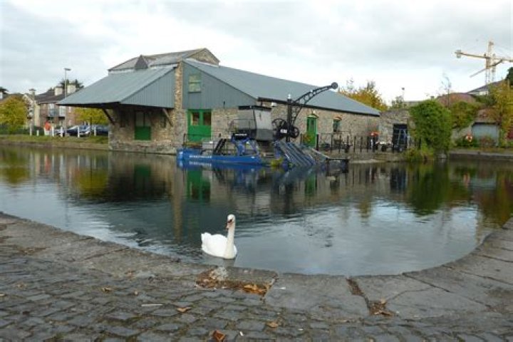 Is Naas North or South Kildare?