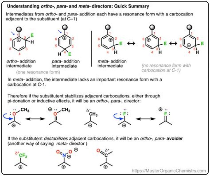 Is NH3 ortho or meta directing?