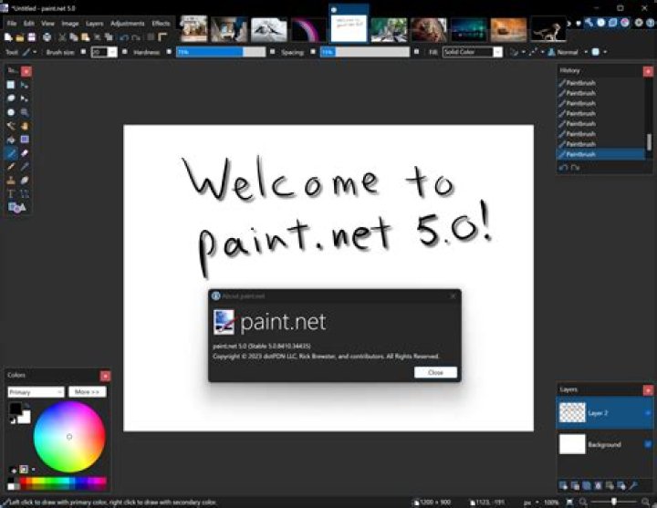 Is paint net owned by Microsoft?
