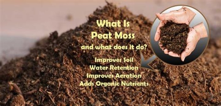 Is peat moss the same as soil?