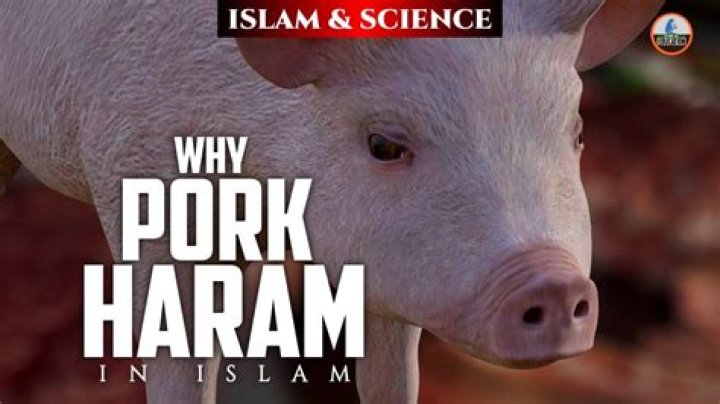 Is Pig Haram in Islam?