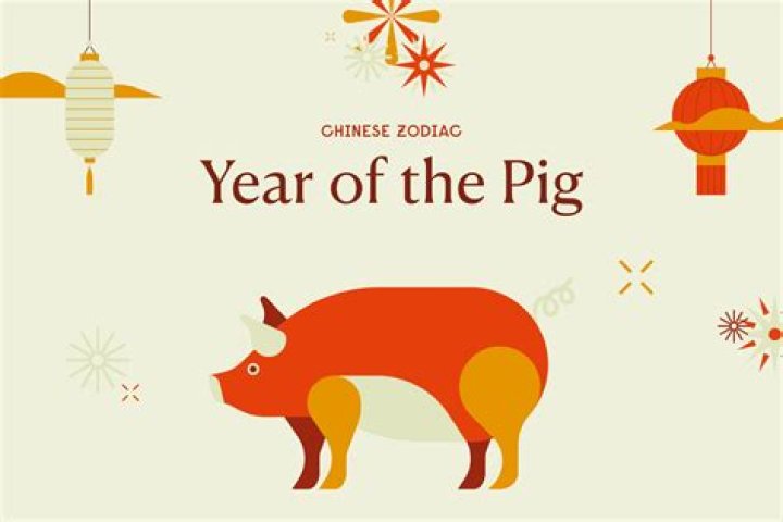 Is Pig Year good for ox?