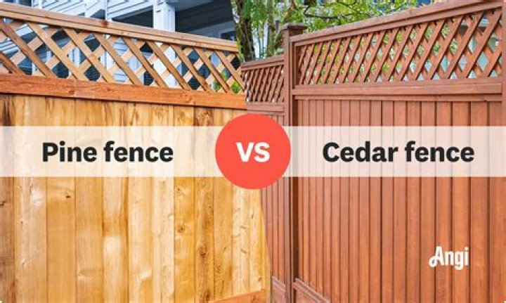 Is pine and cedar the same?