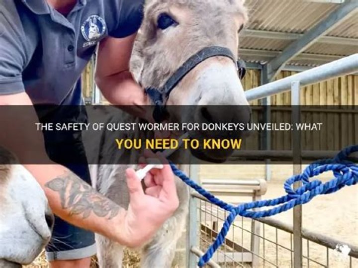 Is Quest Wormer safe?