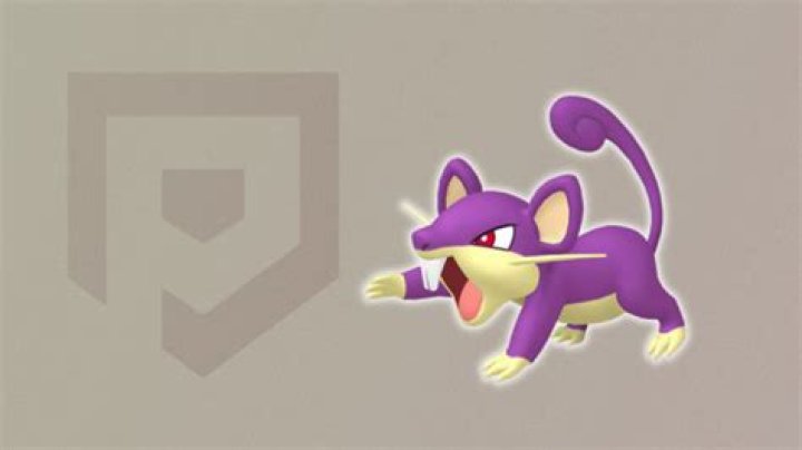 Is Rattata worth training?