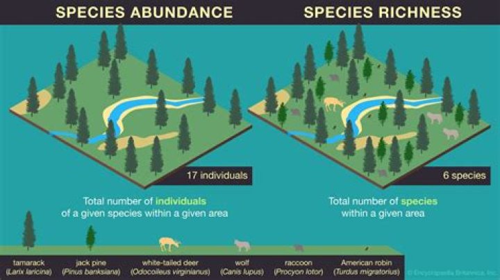 Is relative abundance the same as natural abundance?