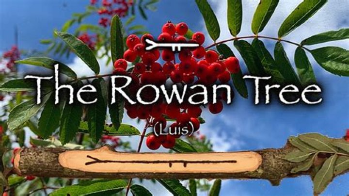 Is Rowan an Indian name?