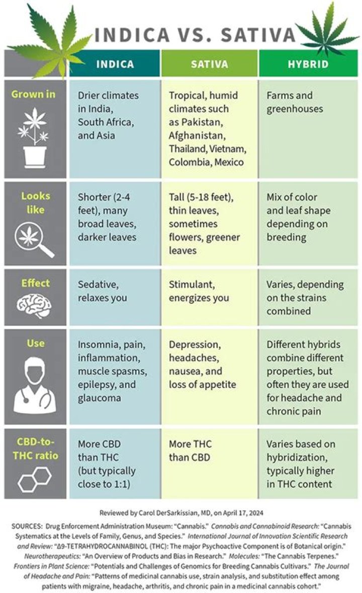 Is Royal Kush a Indica or Sativa?