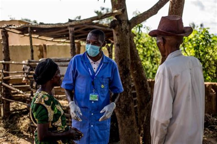 Is Rwanda malaria free?