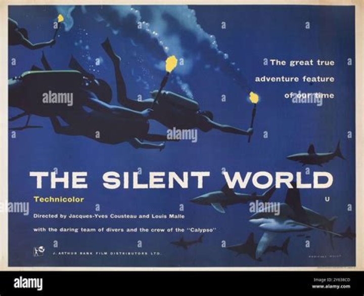 Is Sea a silent world?