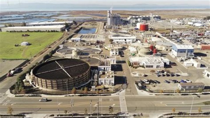 Is SF Bay water clean?