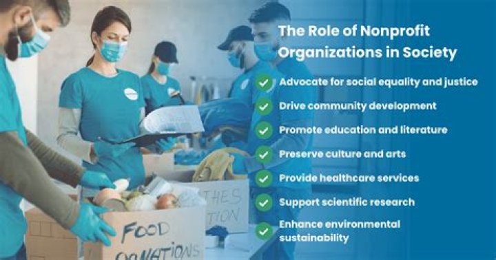 Is social services a nonprofit organization?