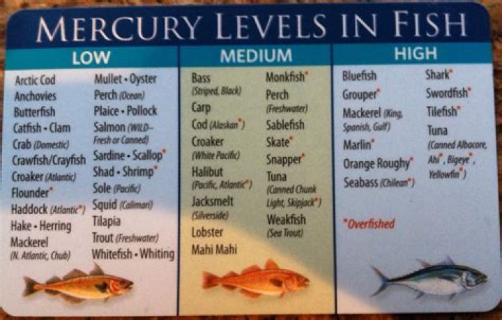 Is sockeye salmon low in mercury?